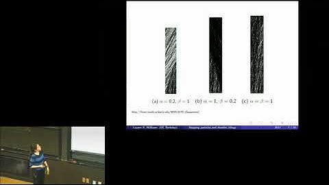 Tableaux combinatorics of hopping particles and Koornwinder polynomials - Lauren Williams