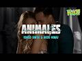 Romeo Santos - Animales (Letra) ft. Nicki Minaj