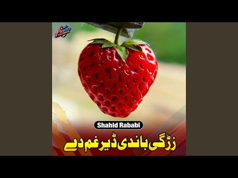 زڑگی باندی ڈ یر غم دے