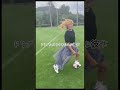 ドリブルがドクみたいな彼女 #パウロちゃんねる #田中パウロ #サッカー #doku #soccer #football #shorts