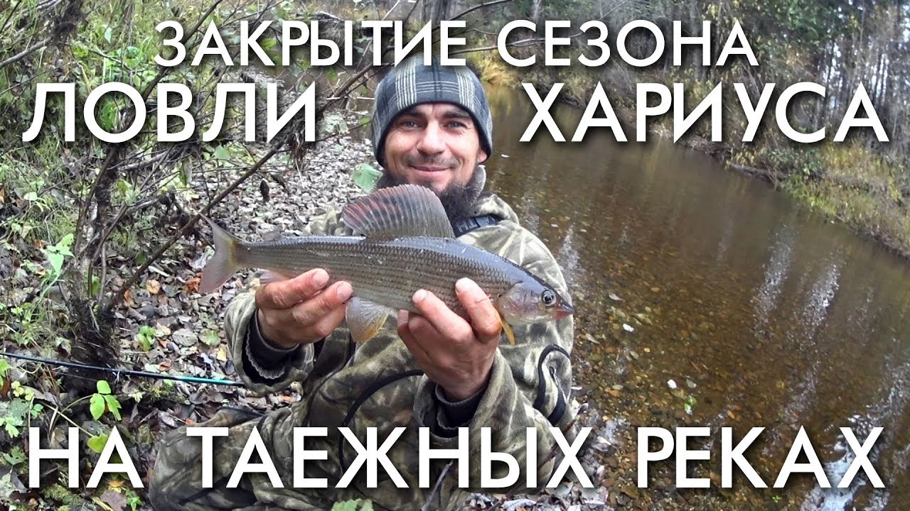 Тойота хариус 2020