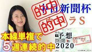 本線単複的中で5週連続！【競馬】中日新聞杯 カペラS 2020 予想 (カペラSは安いけど馬連！) ヨーコヨソー