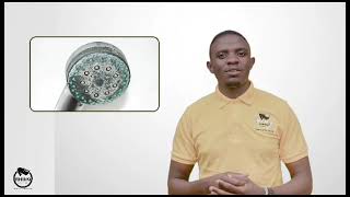 Say Goodbye to Limescale Buildup - Rhino Antiscalant Solution!