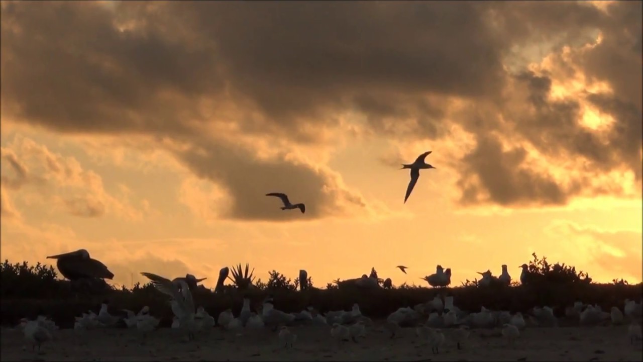 seoul searching movie Sunrise Magic