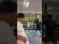 Shakur Stevenson in AWE watching Mayweather on mitts training at 49!