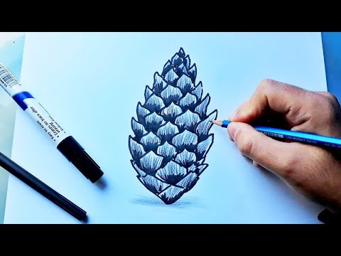 Vidéo: Comment Dessiner Une Pomme De Pin