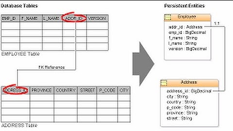Mapping Entities to a Table - Chapter 4