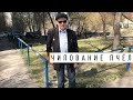 Кашковский. Про органический мед и чиповку пчел. - Парк Плюс