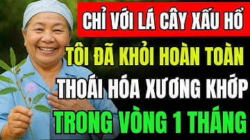 4 Mẹo Chữa Xương Khớp Cực Hay Từ Cây Xấu Hổ Cực Kì Hiệu Quả Chỉ Sau 7 Ngày