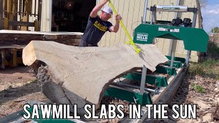 Sawmill slabs in the sun