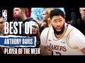 Anthony Davis | Western Conference Player Of The Week