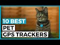 Best Pet Gps Trackers in 2022 - How to find a Tracker for Your Pets?