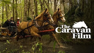 The Caravan Film - Official Trailer Docubay 