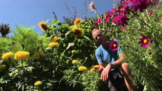 How To Grow Bumper Crops From Small Spaces