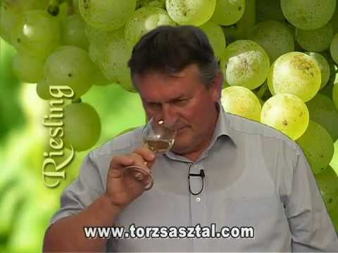 Videó: Új-zélandi szőlőfajták és borstílusok