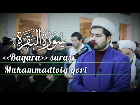 @MuhammadloiqQori BAQARA SURASI | MUHAMMADLOIQ QORI | GO‘ZAL QIROAT