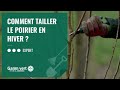 TUTO Comment Tailler Les Poiriers En Hiver Jardinerie Gamm Vert mp3