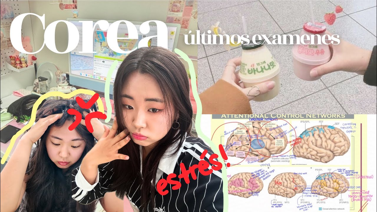 VLOG🎀 Apruebo o...REPITO EL AÑO😟👩🏻‍🏫👺: (últimos) exámenes finales, estudiando en Corea, psicologia 🧠