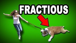 Learn English Words Fractious - Meaning, Vocabulary With Pictures And Examples