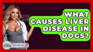 What Causes Liver Disease In Dogs? - Ask A Pet Vet