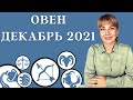 ОВЕН ДЕКАБРЬ 2021: Расклад Таро Анны Ефремовой 12+