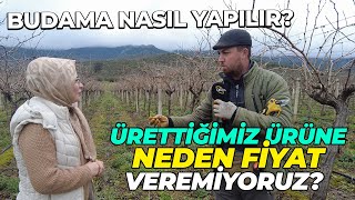 Ürettiğimiz Ürüne Neden Fiyat Veremiyoruz? / Budama Nasıl Yapılır? by ÇİFTÇİ TV 840 views 8 days ago 44 minutes