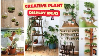 Creative Houseplants Display Ideas | Top Amazing Display Decor Trends of Indoor Plants
