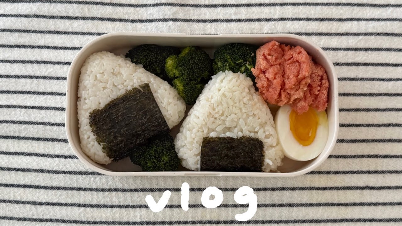 자취생 선정 최고의 식재료 명란으로 도시락 싸고 밥 해먹는 자취 요리 브이로그🍝