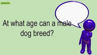 At What Age Can A Male Dog Breed?