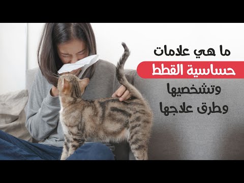 فيديو: 4 طرق لمنع الحساسية من القطط