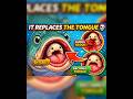 It Replaces the Tongue!