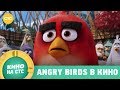 Angry Birds в кино