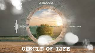 Striwoods - Celestial Harmony
