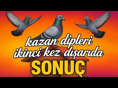 ¡Juega en 1win Casino desde Chile! Ingresa ahora y diviértete en línea