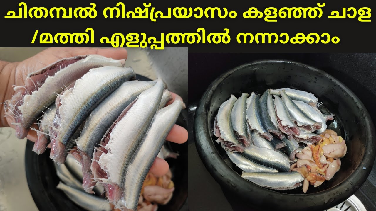 മത്തിയുടെ ചിതമ്പൽ വളരെ എളുപ്പത്തിൽ കളയാൻ ഇനി scrubber വേണ്ടേ വേണ്ട / How to Clean Chala very Fast