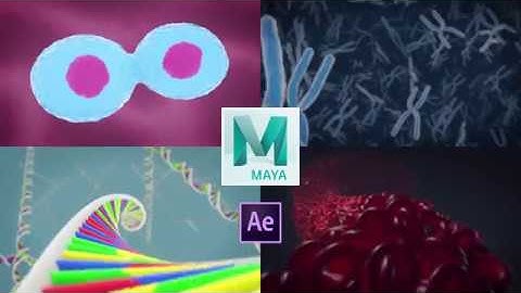 3D Medical Animation in Autodesk Maya Introduction