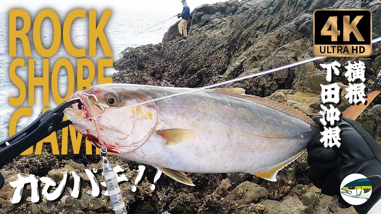 ロックショア カンパチ 青物 ショアジギング 南伊豆 横根 下田沖根