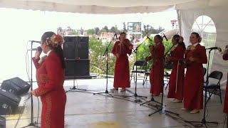 Video thumbnail of "Viva quien sabe querer - Viva el sol , viva la luna - Mariachi Femenil Nuevo Tecalitlan-"