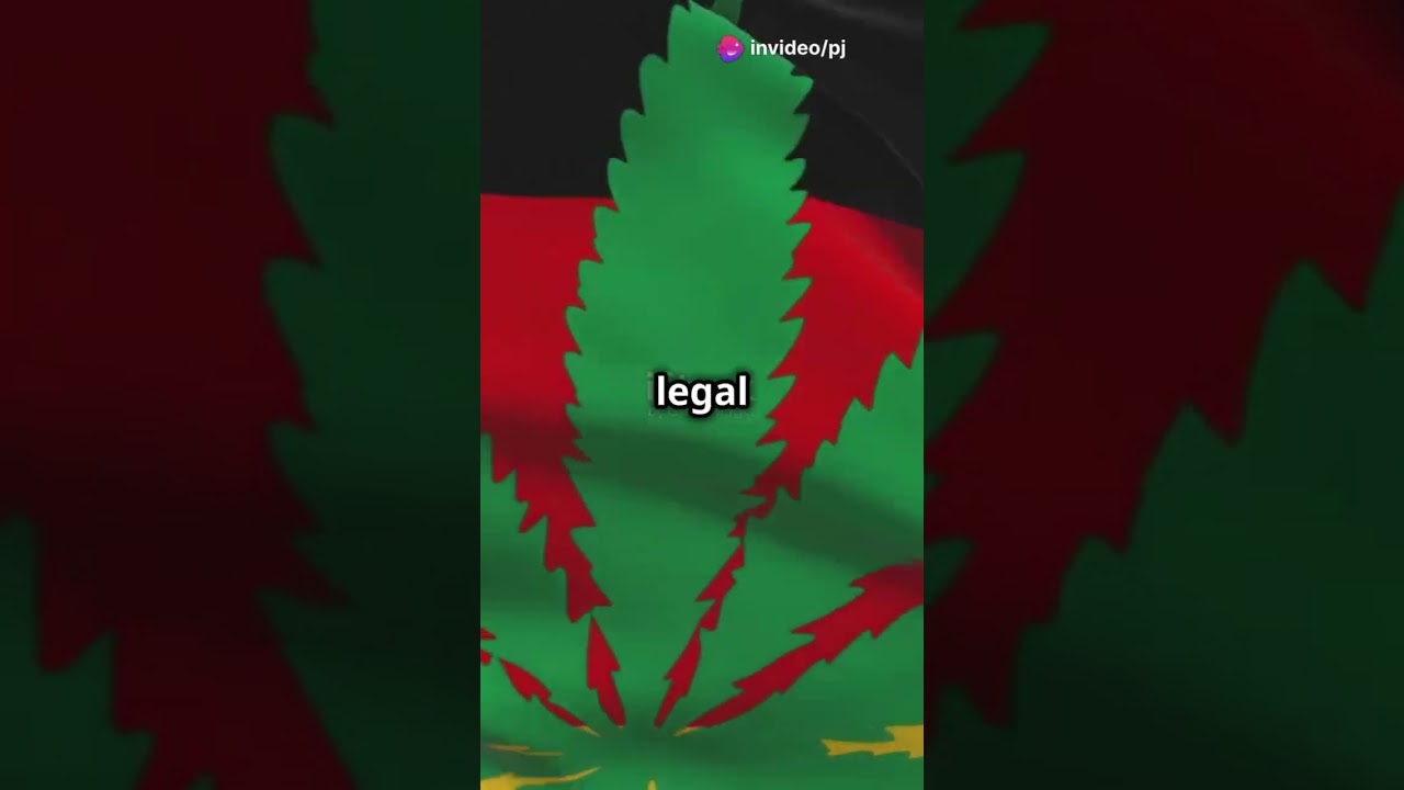 CBD Blüten: Alles, was du in 60 Sekunden wissen musst!