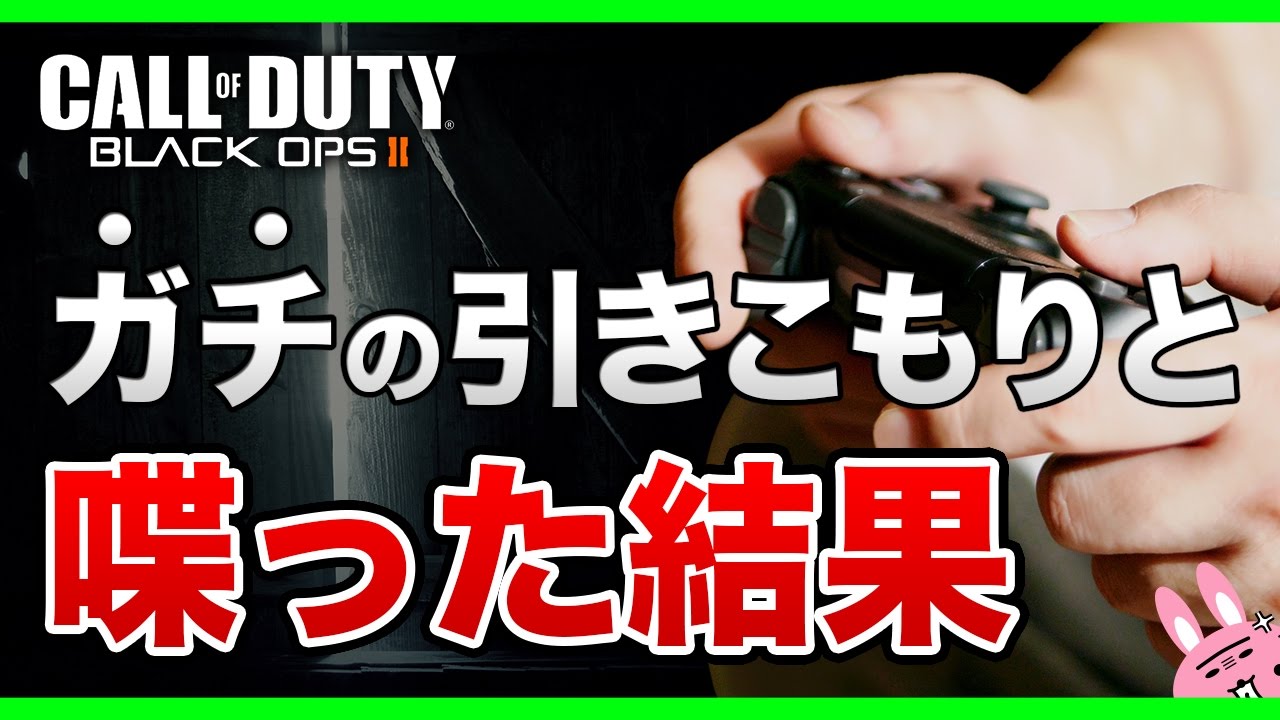 Bo2実況 ガチの学生の引きこもりと喋った結果全く会話がはずまなかった Youtube