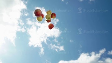 Apples are falling down. Red ripe apples. Slowmotion
