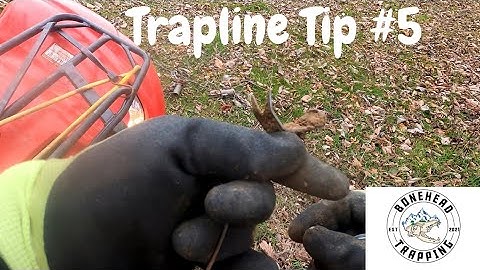 How To Pull Cable Stakes, The Easy Way ( Trapline Tip #5)