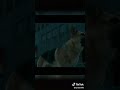 هذا فلم حلو جميل من بطولة ويل سميث اسمه   انا الاسطوره انصحكم تتابعونه