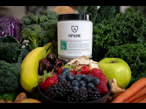 Spade Nutrition Drinks - Doctor Dan Larke Talks About Spade Superfood Nutrition that Tastes Great!