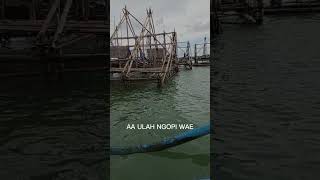 Download Lagu aa ulah ngopi wae😂⚓ MP3 Download Lagu aa ulah ngopi wae😂⚓ MP3