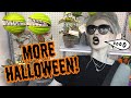 Halloween Decor Hunting! Spirit Halloween, Michael's, HomeGoods...