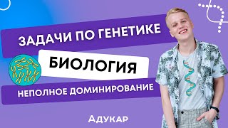 видео: Генетика | Решение задач по генетике | Неполное доминирование | Биология |Решение генетических задач картинка: Генетика | Решение задач по генетике | Неполное доминирование | Биология |Решение генетических задач