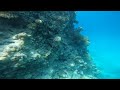 Diving egypt 8