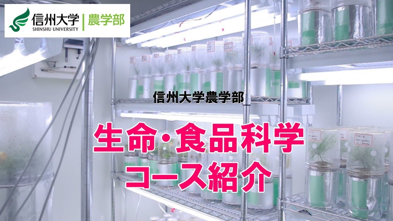 【信州大学農学部2025年4月～コース再編】生命・食品科学コース