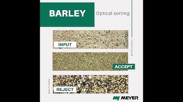 MEYER -  Barley optical sorting // Sortowanie optyczne jęczmienia